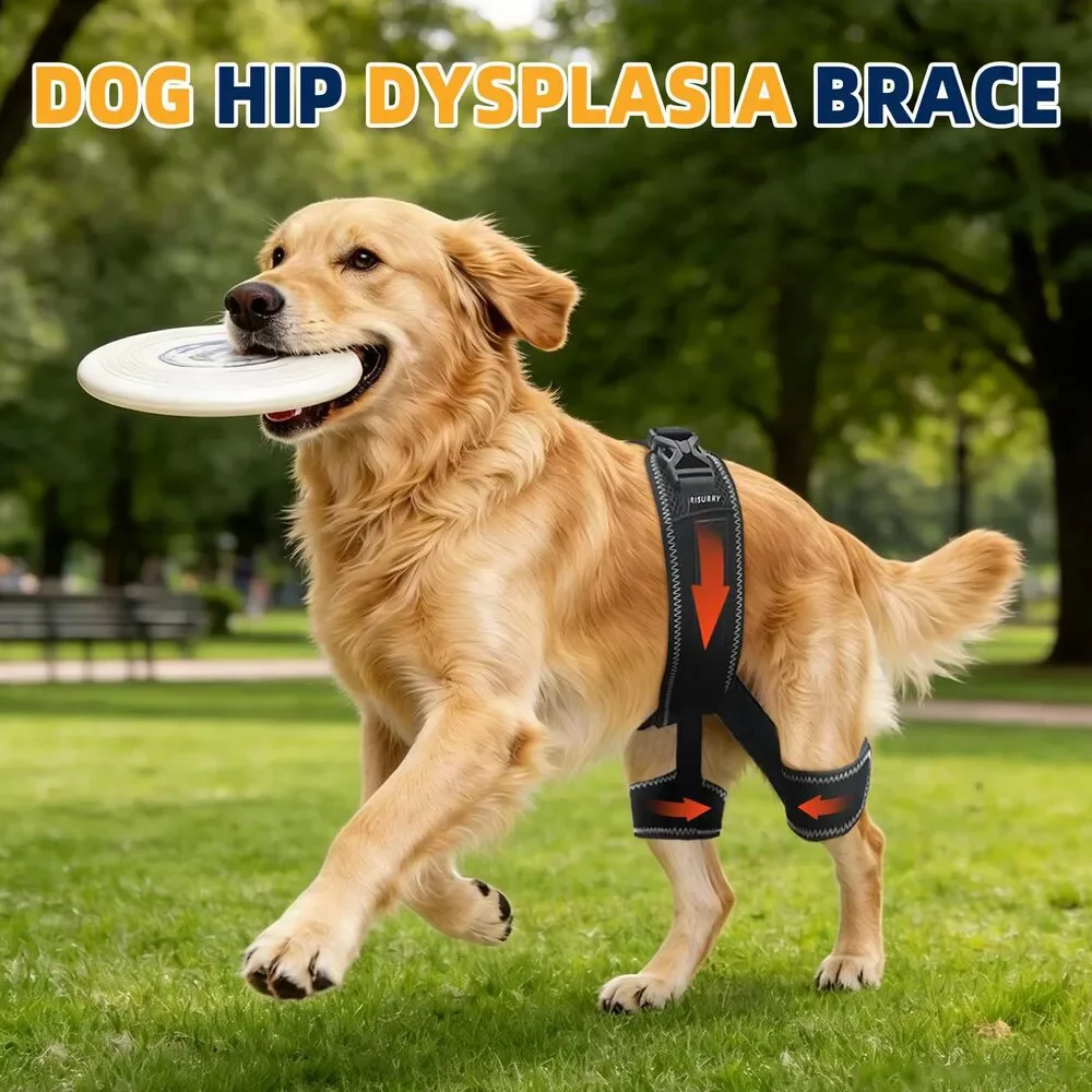 CHAMIN Dog Hip Brace Hip Dysplasia Rear Leg Support Harness Arthritis Size S